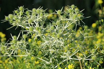 BUITEN BEELD Foto: 98425