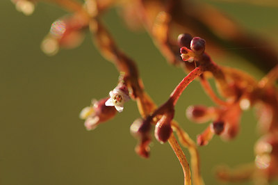 BUITEN BEELD Foto: 98431