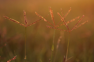 BUITEN BEELD Foto: 98456