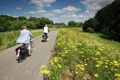 BUITEN BEELD Foto: 98479