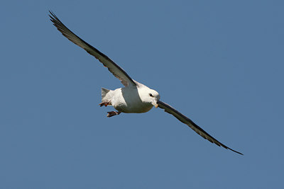 BUITEN BEELD Foto: 98495
