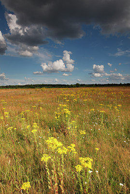 BUITEN BEELD Foto: 98502