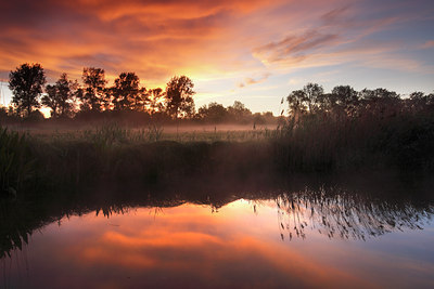 BUITEN BEELD Foto: 98515