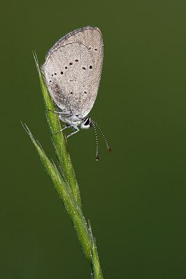 BUITEN BEELD Foto: 98522