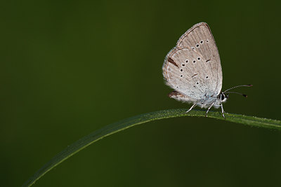 BUITEN BEELD Foto: 98527
