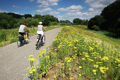 BUITEN BEELD Foto: 98534