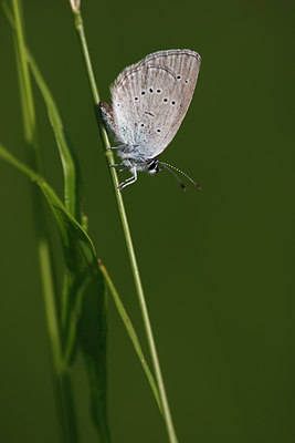 BUITEN BEELD Foto: 98569