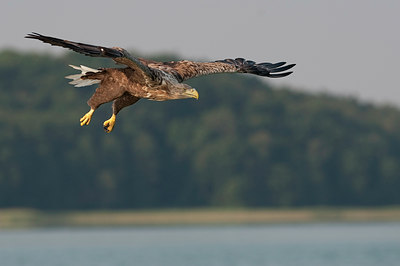 BUITEN BEELD Foto: 98687