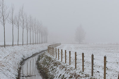 BUITEN BEELD Foto: 98697
