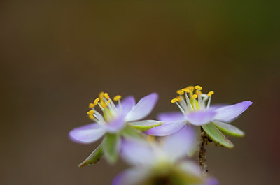 BUITEN BEELD Foto: 98725