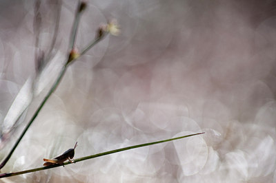 BUITEN BEELD Foto: 98731