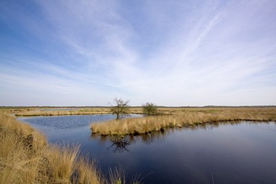 BUITEN BEELD Foto: 98790