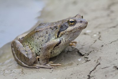 BUITEN BEELD Foto: 98828