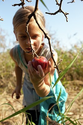 BUITEN BEELD Foto: 98829