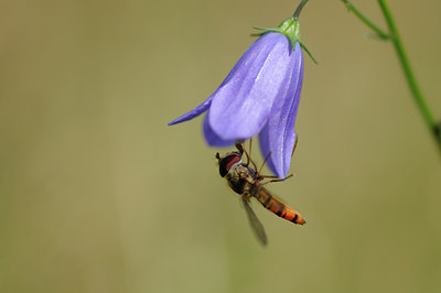 BUITEN BEELD Foto: 98886