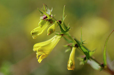 BUITEN BEELD Foto: 98898