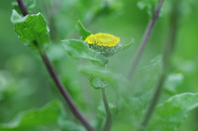 BUITEN BEELD Foto: 98928