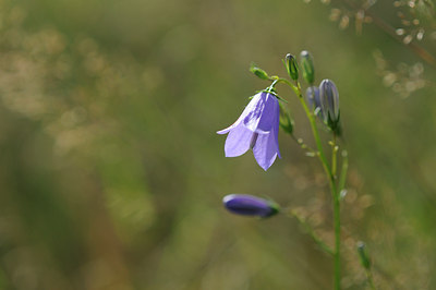BUITEN BEELD Foto: 98930