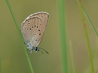 BUITEN BEELD Foto: 98936