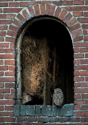 BUITEN BEELD Foto: 98942