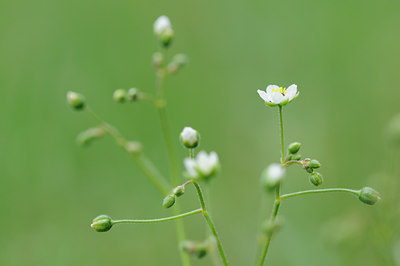 BUITEN BEELD Foto: 98995