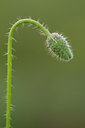 BUITEN BEELD Foto: 328