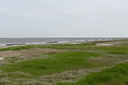 BUITEN BEELD Foto: 372