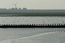 BUITEN BEELD Foto: 380