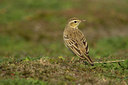BUITEN BEELD Foto: 430
