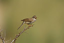 BUITEN BEELD Foto: 448