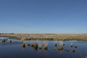 BUITEN BEELD Foto: 736