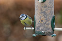 BUITEN BEELD Foto: 9209