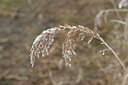 BUITEN BEELD Foto: 9218