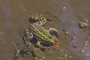 BUITEN BEELD Foto: 9303
