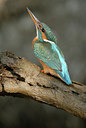 BUITEN BEELD Foto: 9317