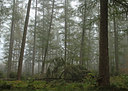 BUITEN BEELD Foto: 9467