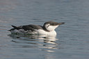 BUITEN BEELD Foto: 9699