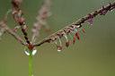BUITEN BEELD Foto: 99026
