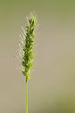 BUITEN BEELD Foto: 99143