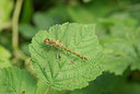 BUITEN BEELD Foto: 99161
