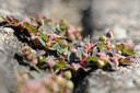 BUITEN BEELD Foto: 99209