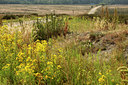 BUITEN BEELD Foto: 99269