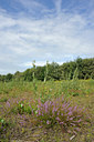 BUITEN BEELD Foto: 99276