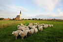 BUITEN BEELD Foto: 99355