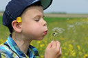 BUITEN BEELD Foto: 99396