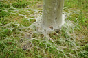BUITEN BEELD Foto: 99402