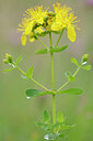 BUITEN BEELD Foto: 99473