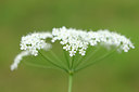 BUITEN BEELD Foto: 99481