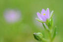 BUITEN BEELD Foto: 99491