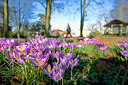 BUITEN BEELD Foto: 99504